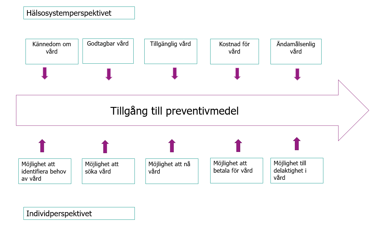 Illustration över Levesques ramverk för konceptualisering av tillgång till hälso och sjukvård.