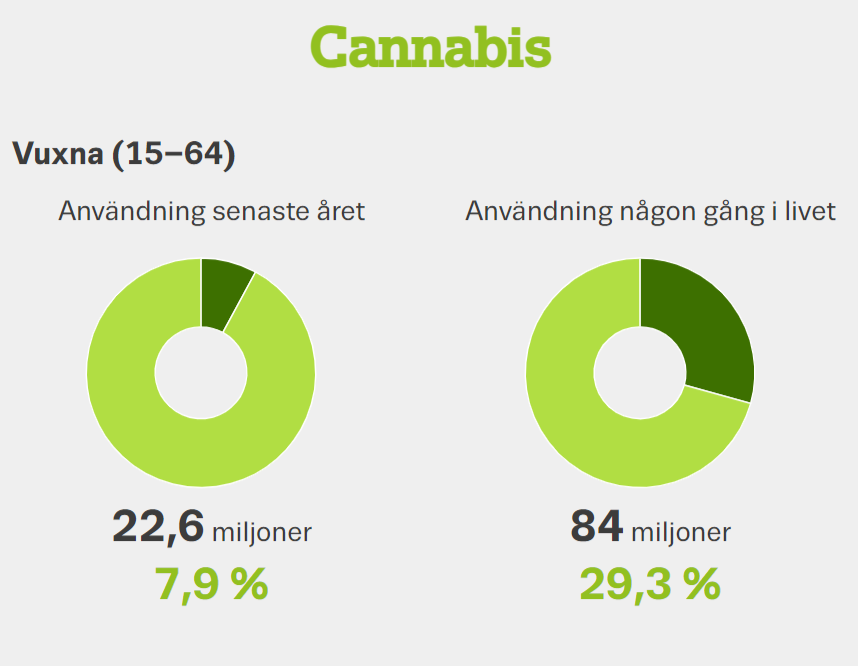 22,6 miljoner har använt cannabis under det senaste året. 84 miljoner personer har använt cannabis någon gång i livet.