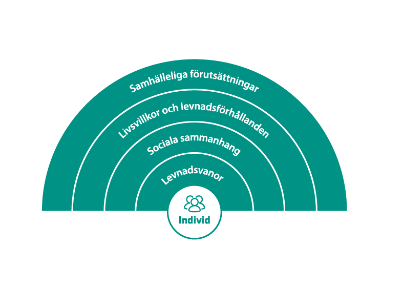 Bild på de olika nivåer av faktorer som påverkar folkhälsan. Längst in i regnbågsmodellen finns nivån Individ, sen Levnadsvanor, Sociala sammanhang, Livsvillkor och levnadsförhållanden och ytterst i bågen återfinns nivån samhälleliga förutsättningar.