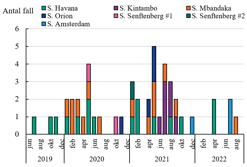 Figuren visar att 0-5 personer har insjuknat med någon av flera olika serotyper och stammar av salmonella per månad mellan juli 2019 och augusti 2022