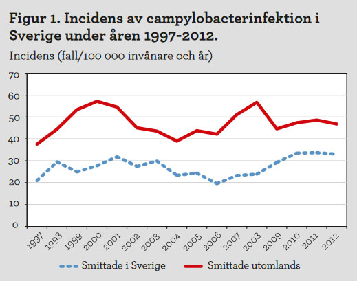 Diagram över incidens av campylobacterinfektion
