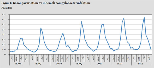 Figur 2. Säsongsvariation av inhemsk campylobacterinfektion