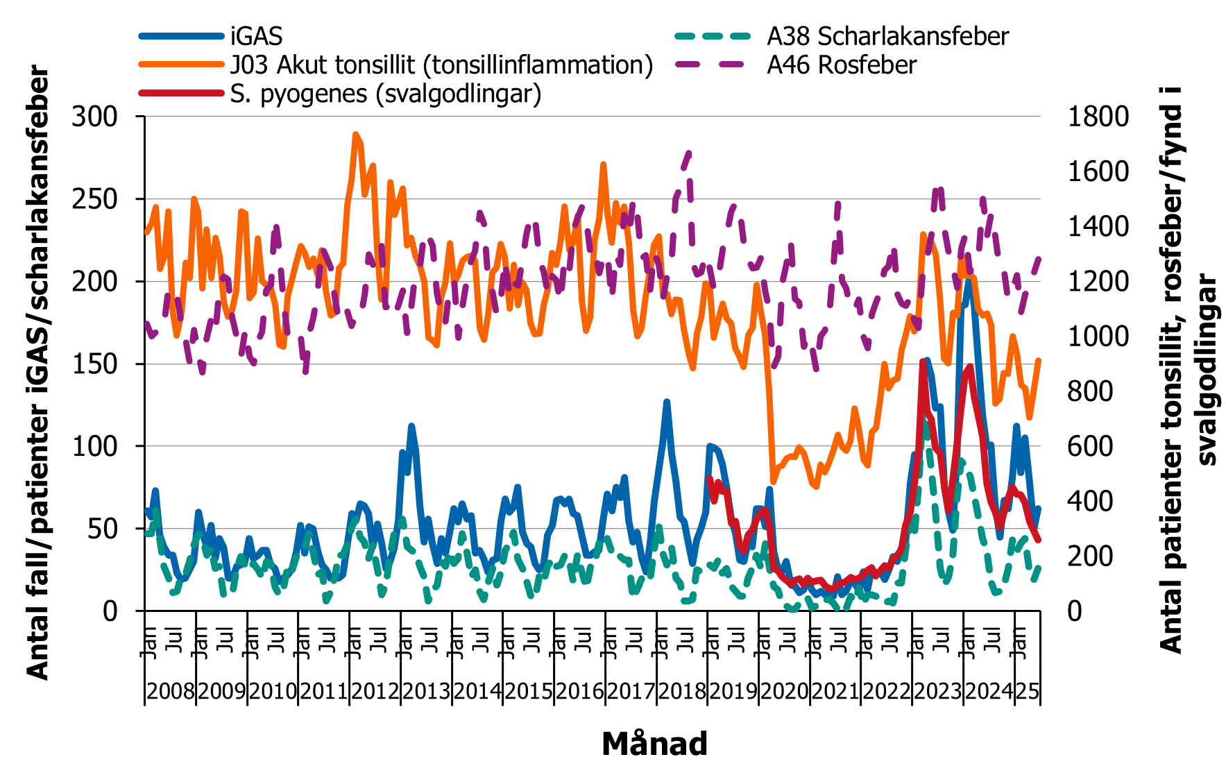 Liknande säsongsmönster ses för iGAS, tonsillit, scharlakansfeber och GAS i svalgodlingar medan rosfeber skiljer sig.