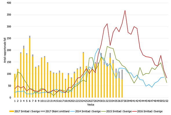 Antal rapporterade fall med campylobacterinfektion  smittade i Sverige 2014-2017 