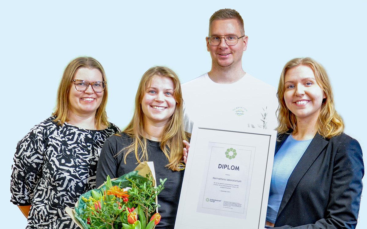 Foto på en grupp människor.
