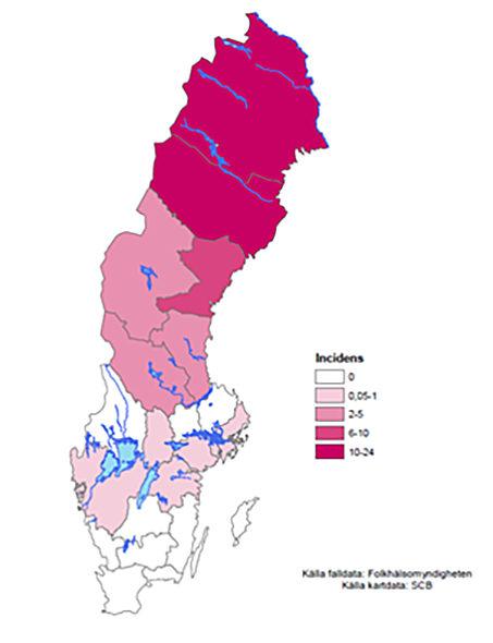 Förklaring i texten.