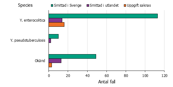 Stapeldiagram över yersinia per spacies. Enterocolitica smittad i Sverige dominerar
