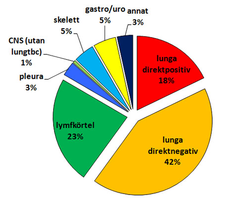 Figur 6: Rapporterade tuberkulosfall i Sverige 2012 per sjukdomslokal (n=645)