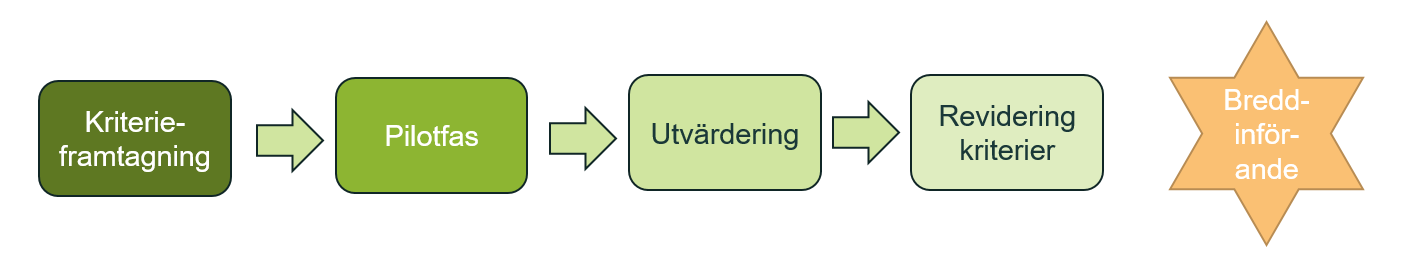 Grafik som visar de olika stegen i kriterieprocessen, beskrivs i mer detalj i omgivande text