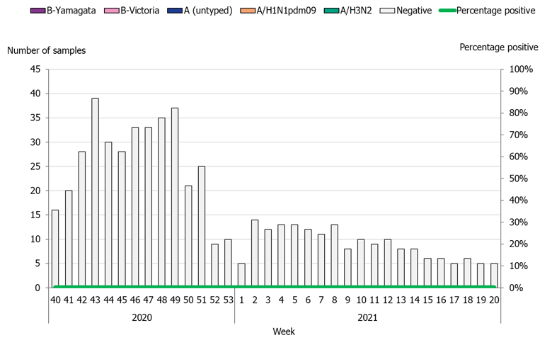 Number of sentinel samples and the percentage positive by week. As no samples were positive this season, no positive samples are shown for any subtype or lineage. 