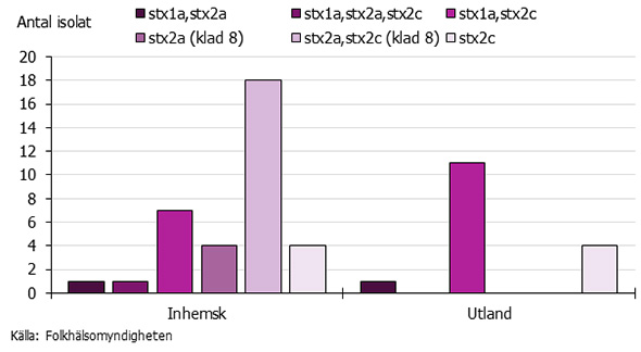 Graf som visar fördelningen av shigatoxinsubtyper hos O157:H7.