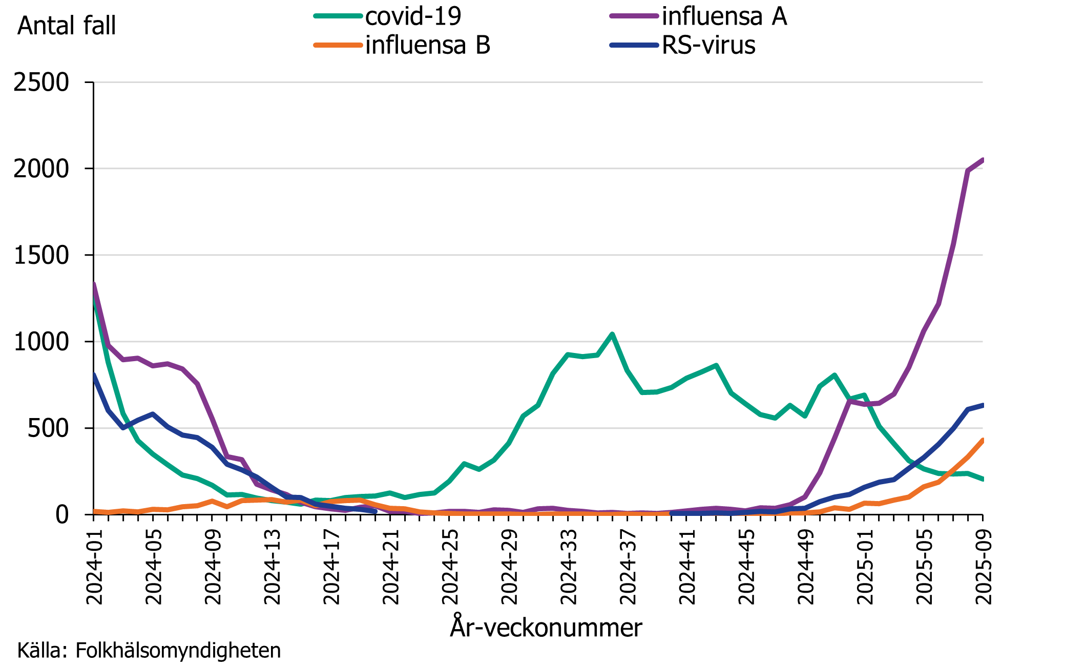 Fallen av covid-19 dominerade under sommar och höst 2024 medan influensa och RS-virus dominerade under vinterhalvåret.