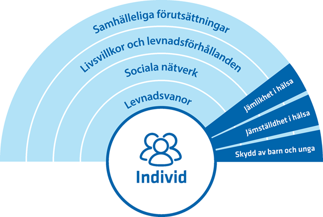 Individens hälsa påverkas av levnadsvanor och livsvillkor, sociala nätverk och omgivande samhälle.