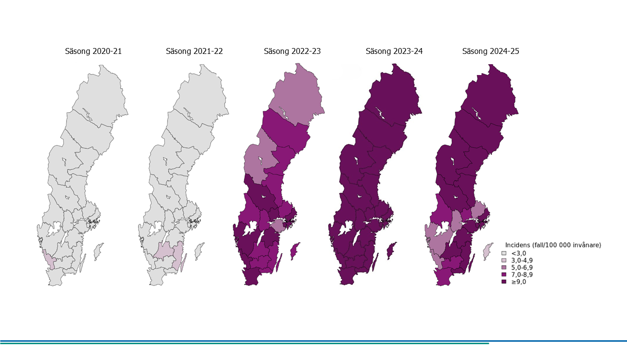 Minskade incidens av iGAS i n&aring;gra regioner j&auml;mf&ouml;rt med f&ouml;reg&aring;ende s&auml;song.