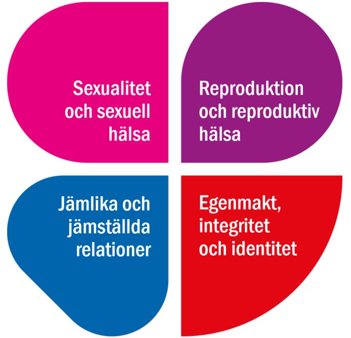 Illustrationen visar SRHR-områdets fyra delområden.