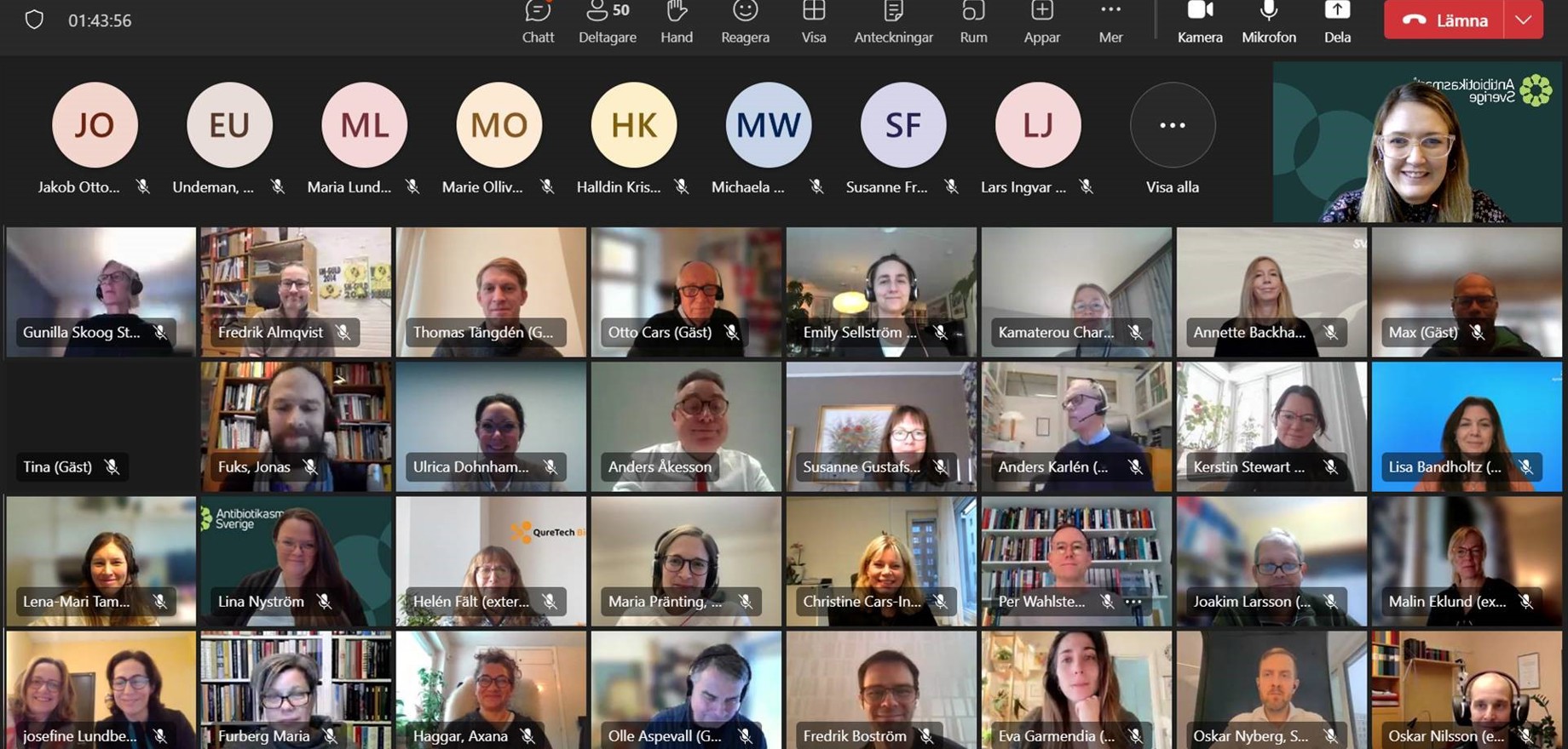 Skärmdump från digitalt möte, deltagarna visas