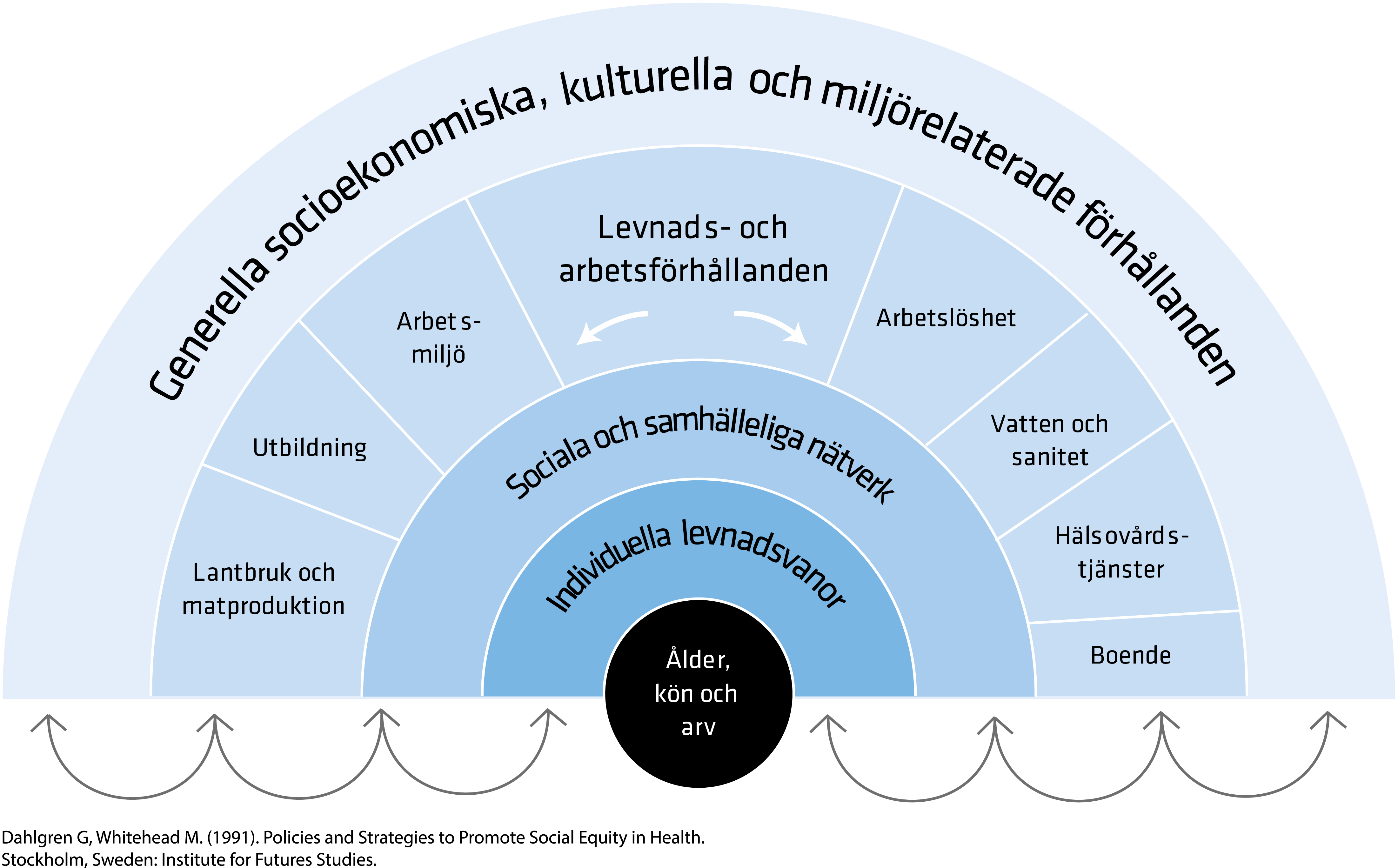 Bilden visar hälsans bestämningsfaktorer i olika lager från generella, kulturella och miljörelaterade förhållanden till de som individer själva bär på, som arv och ålder. Bilden visar också att de olika nivåerna interagerar med varandra.