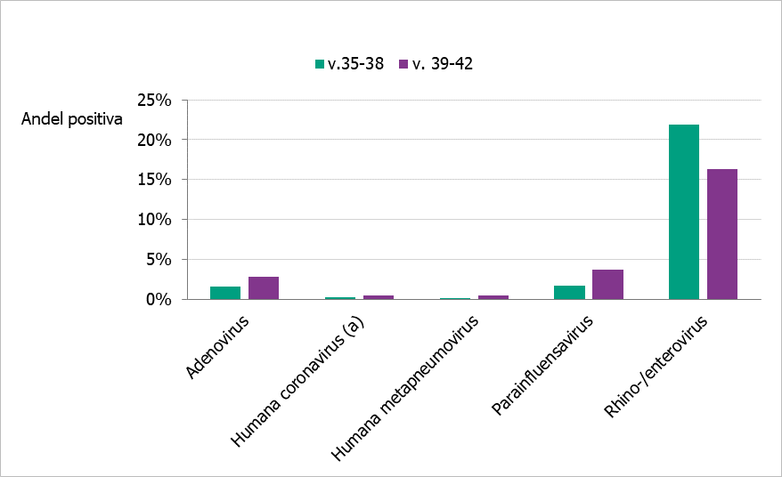 Diagram som visar att rhino-/enterovirus påvisats i högst utsträcknings, med en lägre förekomst av övriga orsaker till luftvägsinfektion.