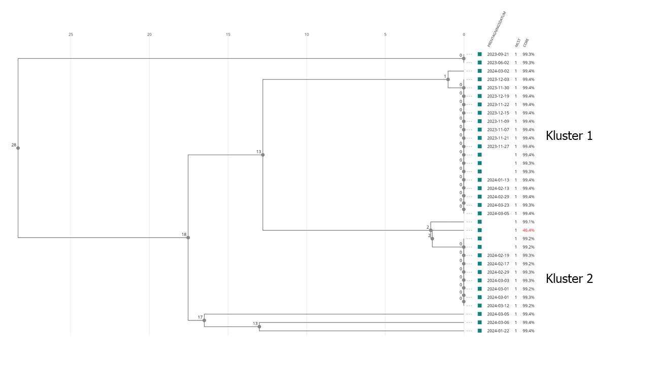 Kluster av C. difficile typ ST1 identifierade 2023-2024.K&auml;lla: Nationella referenslaboratoriet i &Ouml;rebro.