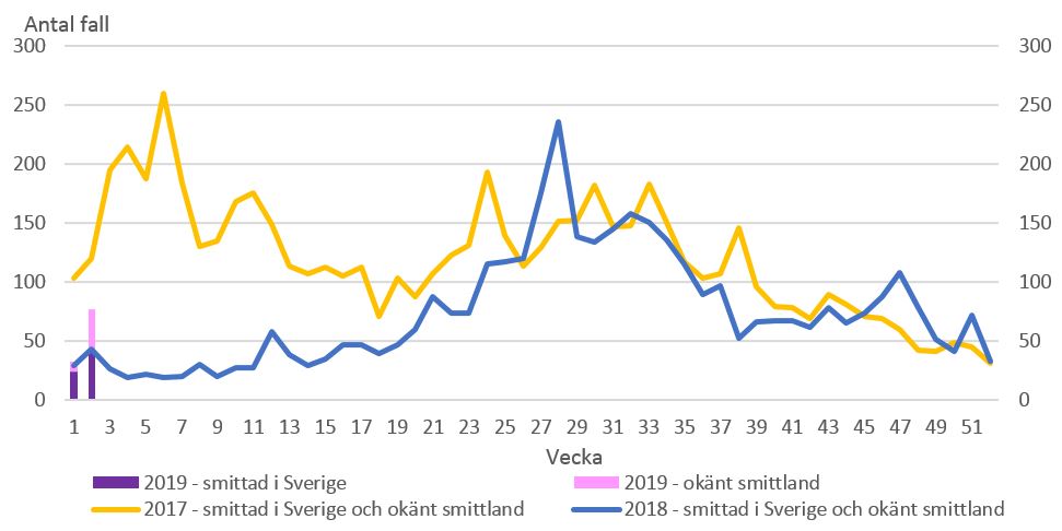 Antal rapporterade fall med campylobacterinfektion per vecka, smittade i Sverige eller okänt smittland