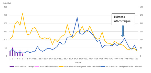 Linjediagram över antal rapporterade fall av campylobacter per vecka 2017 till 2019