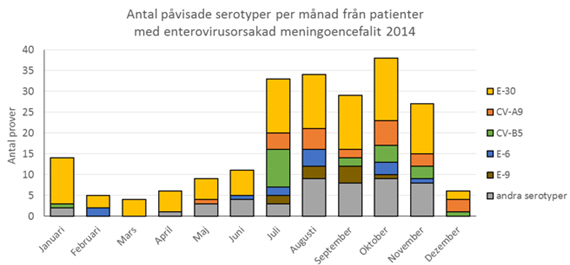 Antal typade enterovirusprover per månad (ankomst) från patienter med enterovirusorsakad meningoenecefalit 2014 ( n= 219)