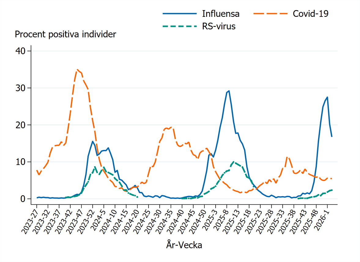 RS och influensa toppar vid årsskiftena 2023–2024 och 2024–2025. Covid-19 varierar oregelbundet. Influensa minskade vecka 3 2026.