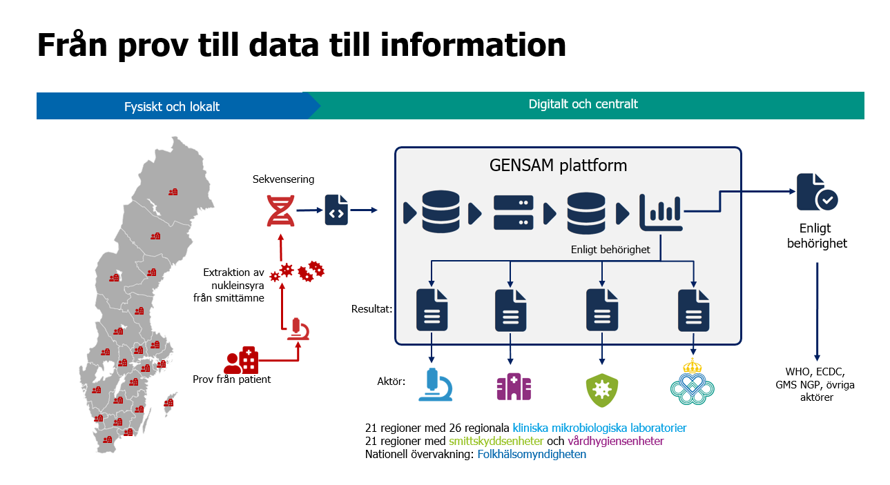 Flödeschema som visar Har labb analyserar prov och GENSAM-plattformen analyserar sekvensdata och delar resultaten med berörda aktörer.