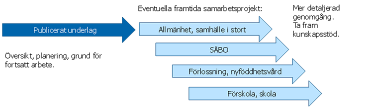 Översikt och planering är grund för fortsatt arbete. Framtida samarbetsprojekt kan vara till exempel SÄBO, förskola och skola.