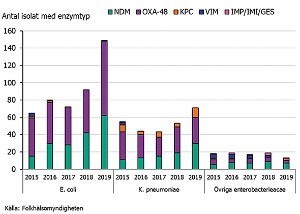 Figur 2. Antal isolat och enzymtyper av ESBL-CARBA producerande E. coli, K. pneumoniae och övriga arter inom familjen Enterobacteriaceae under åren 2015-2019