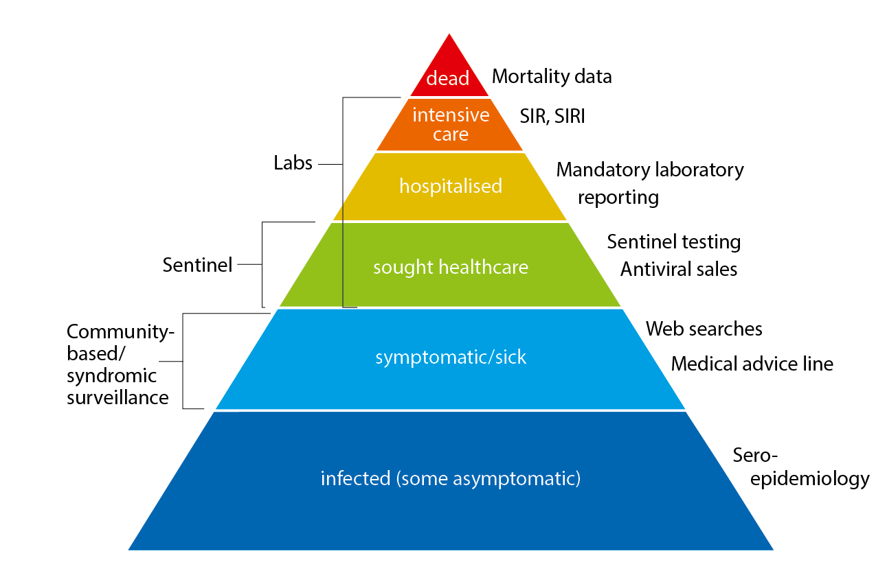 The influenza pyramid showing possible outcomes of an influenza infection and the surveillance systems at each level. The picture is actually a triangle, with a large base of infected people leading up to a small peak of those who die of influenza. Other portions of the pyramid (going up) are symptomatic or sick, sought healthcare, hospitalised, intensive care and finally, dead. 