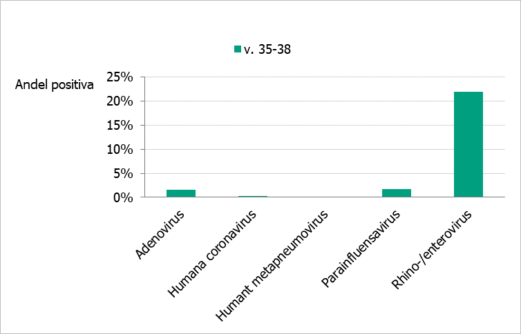 Diagram som visar att under vecka 35-38 har rhino-/enterovirus påvisats i högst utsträckning, med en lägre förekomst av övriga orsaker till luftvägsinfektion.