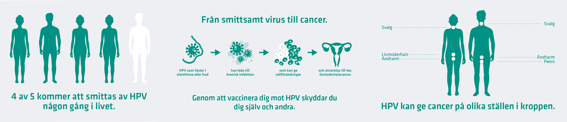 4 av 5 kommer att smittas av HPV någon gång i livet. Genom att vaccinera dig skyddar du dig själv och andra. HPV kan ge cancer på olika ställen i kroppen.