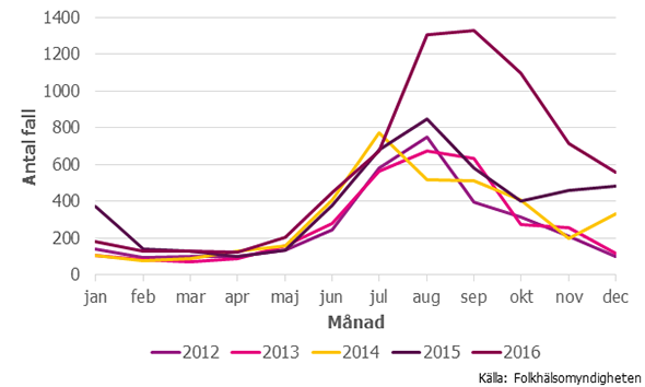 Figur 3. Antalet anmälda fall av campylobacter smittade i Sverige per månad 2016 jämfört med de fyra föregående åren