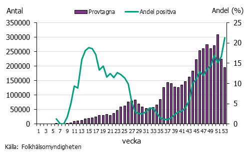 Diagram över antalet provtagna individer per vecka. Stigande antal hela året.