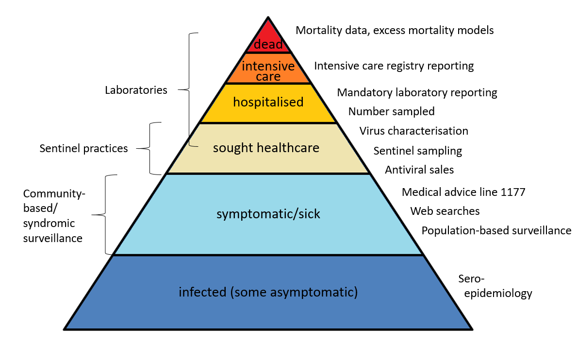 Description of outcomes and surveillance systems from the base of infected people to those with severe illness. 