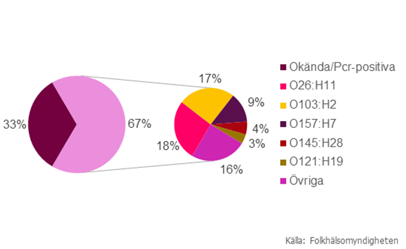 Figur 2. Fördelning över fall smittade i Sverige uppdelat efter typningsresultat (n=465) under 2016. Kategorin ”Övriga” inkluderar serotyper med 1–8 isolat per serotyp