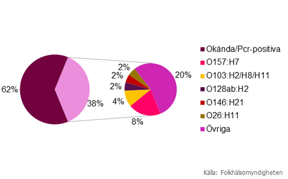 Figur 3. Fördelning över fall smittade utomlands uppdelat efter typningsresultat (n=156) under 2016. Kategorin ”Övriga” inkluderar serotyper med 1–2 isolat per serotyp