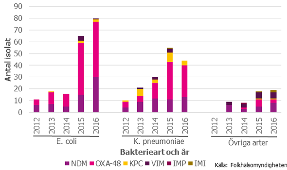 Figur 6. Antal isolat av ESBLCARBA- producerande E. coli, K. pnemoniae och övriga arter inom familjen Enterobacteriaceae 2012–2016. En fördelning av enzymtyper inom respektive art och år visas stapeldiagrammet