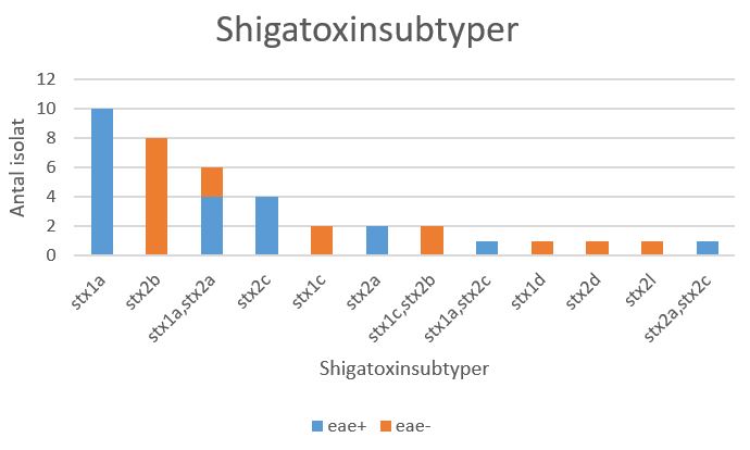 Figur 2. Fördelning av shigatoxinsubtyper och eae för inkomna isolat under perioden 1 januari till 31 mars 2021 (n=39)
