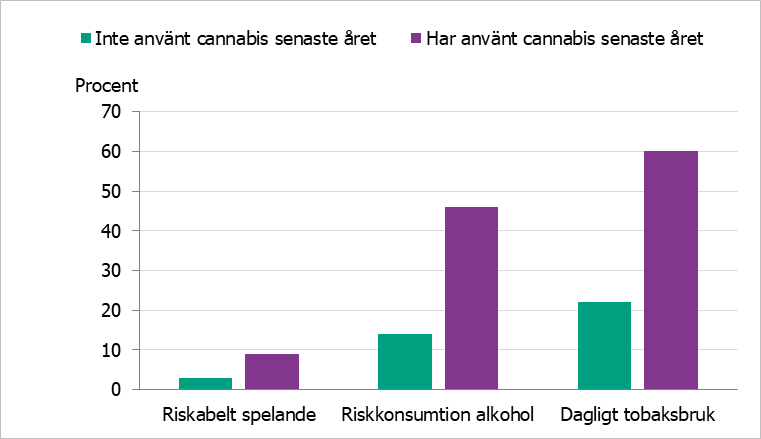Stapeldiagrammet visar att andelen med riskabelt spelande, riskkonsumtion av alkohol och dagligt tobaksbruk är runt tre gånger så hög hos personer som har använt cannabis det senaste året jämfört med de som inte har det. Bland personer som använt cannabis senaste året är det 60 procent som har dagligt tobaksbruk.