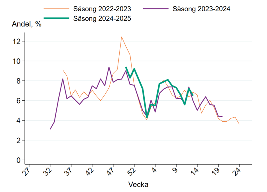 Andelen med akut luftvägsinfektion minskade vecka 13 och följer samma trend som motsvarande period 2023 och 2024.