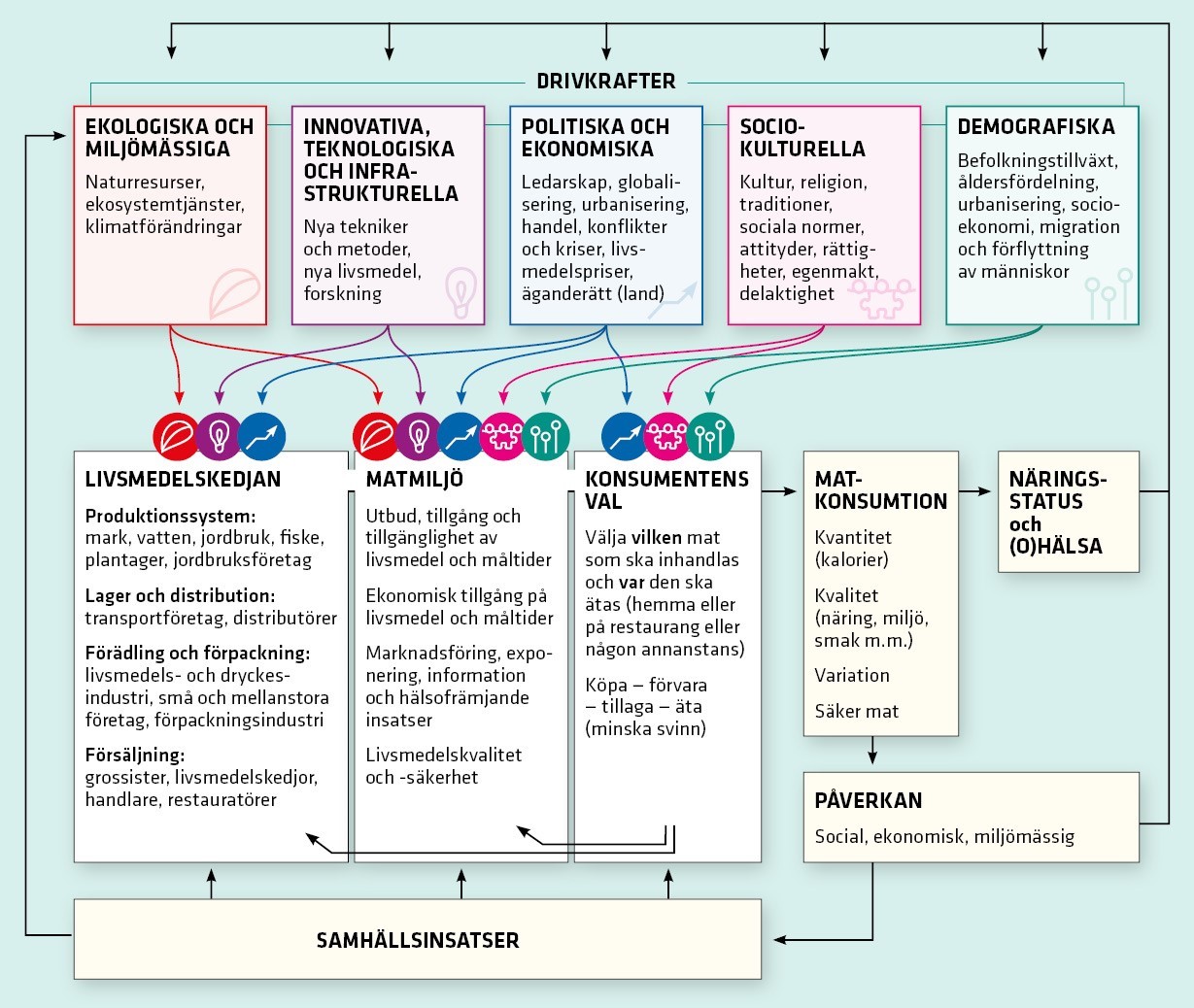 Modell som visar ett komplext system av insatser och aktörer.