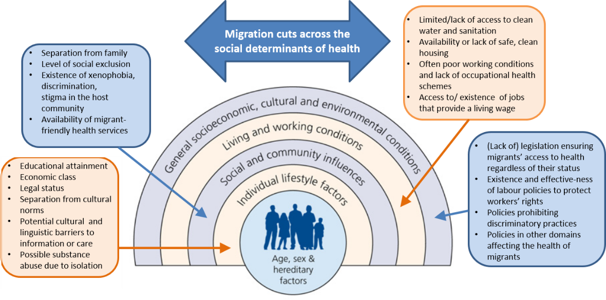Modellen visar hur migration påverkar alla hälsans sociala bestämningsfaktorer. Förklaring finns i texten.