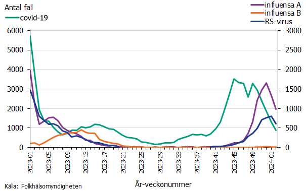 Under 2023 har antalet fall av covid-19, RS-virus samt influensa A och B varierat vecka till vecka. Högst antal syns i början och slutet av året.