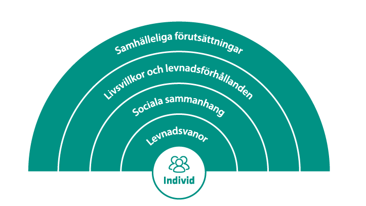 Regnbågsmodellen som visar olika nivåer av faktorer som påverkar hälsan. Längst ut i regnbågen finns samhälleliga förutsättningar, sedan livsvillkor och levnadsförhållanden, sedan sociala sammanhang, sedan levnadsvanor och längs in i regnbågen finns individen. 