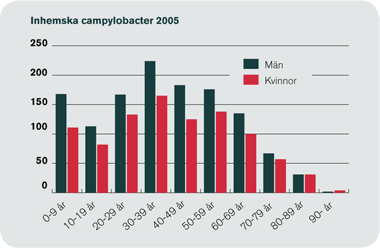 Inhemska campylobacter 2005