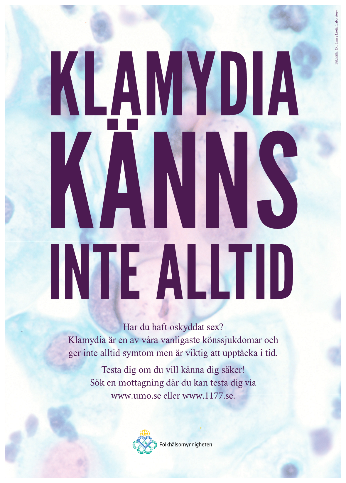 Klamydia känns inte alltid – Affisch