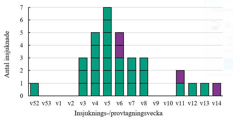 Figur. Insjukningskurva för utbrottsfallen med Salmonella Enteritidis (n=32), 2021-04-26. Utbrottsfallen är bekräftade genom att bakterieisolat från de drabbade har typats med hjälp av helgenomsekvensering, det vill säga analys av bakteriens arvsmassa. För sjukdomsfall markerade i lila saknas information om insjukningsvecka och istället har provtagningsvecka angetts.  