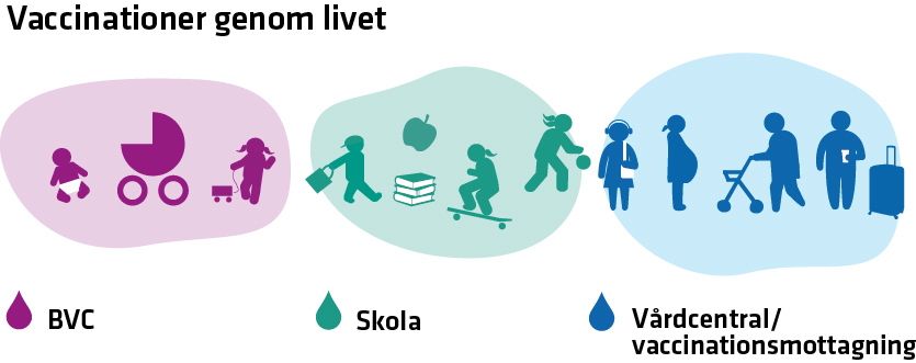 Vaccinationer är viktiga för att må bra och slippa bli sjuk. Små barn får vaccinationer på bvc. Elever får vaccinationer genom skolans elevhälsa. Vuxna kan vaccinera sig på vårdcentral och vaccinationsmottagningar.